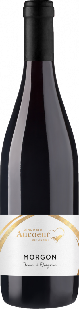 Morgon - Terre d'Origine - Vignoble Arnaud Aucoeur