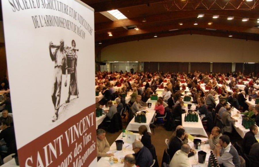 SAINT AMOUR 2025 - MEDAILLE OR / CONCOURS SAINT VINCENT MACONNAIS BEAUJOLAIS 2026