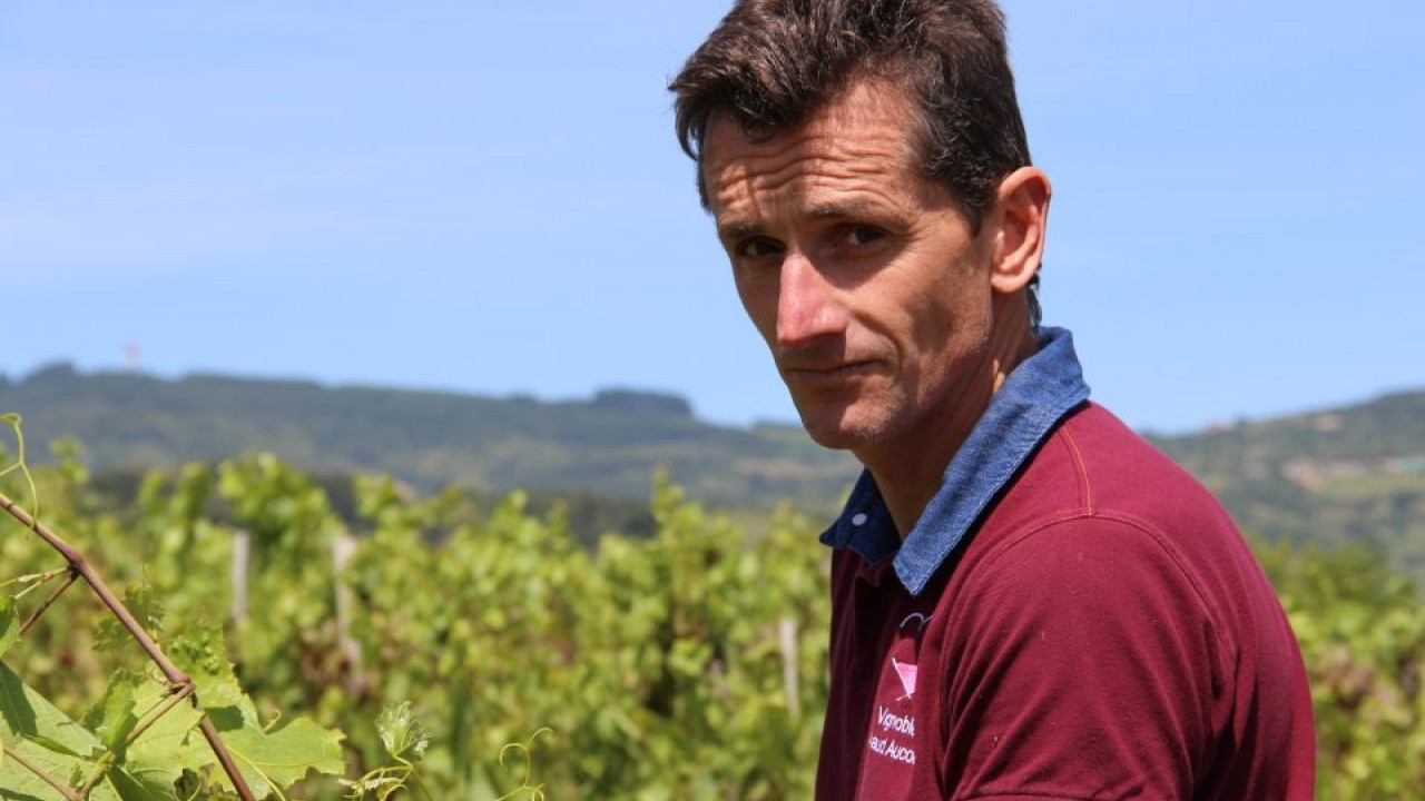Elu « Vigneron de l’année » pour la grande région Beaujolaise