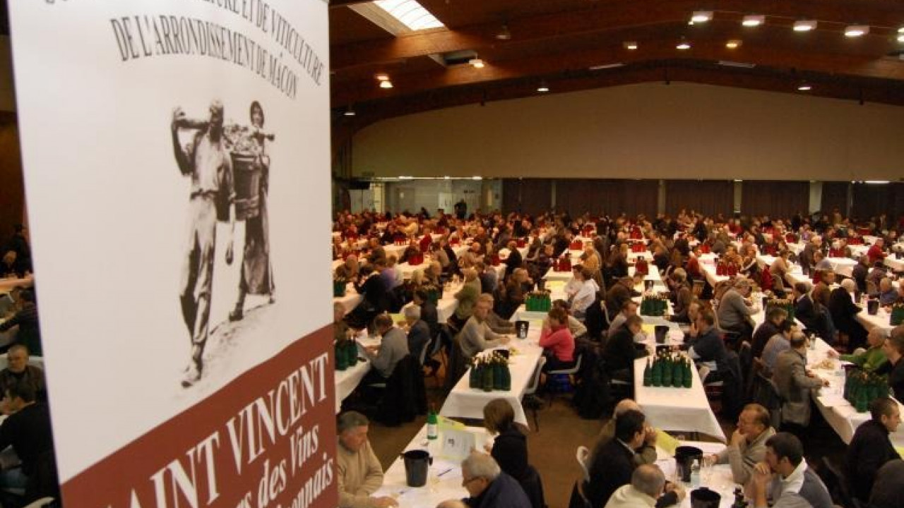 SAINT AMOUR 2025 - MEDAILLE OR / CONCOURS SAINT VINCENT MACONNAIS BEAUJOLAIS 2026