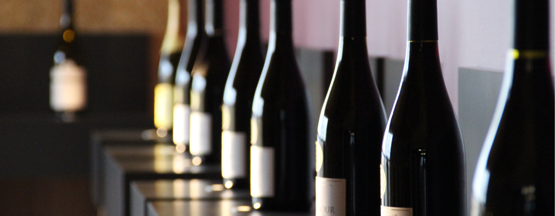 Meet & Taste at Domaine Aucoeur