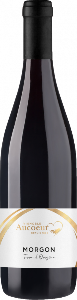Morgon - Terre d'Origine - Vignoble Arnaud Aucoeur